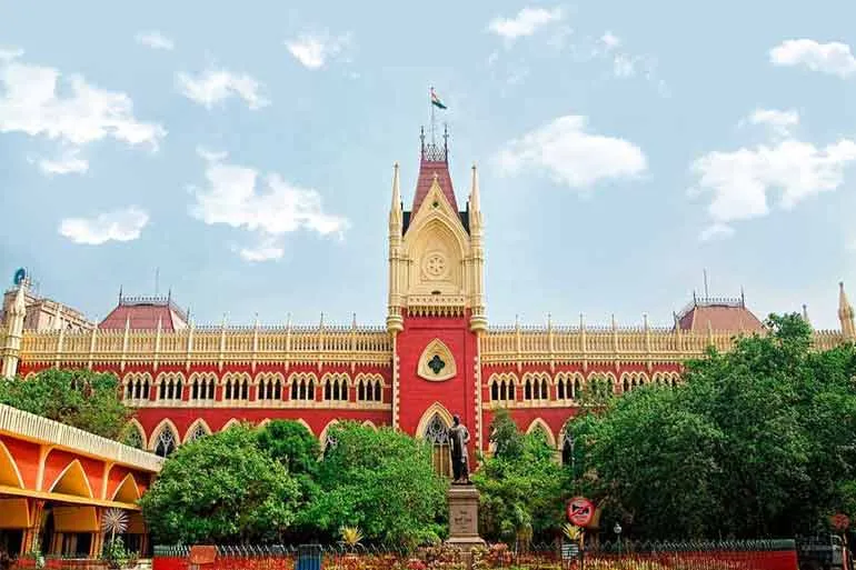কাজ না পারায় পুত্রবধূকে বকাঝকা, শাশুড়ির পক্ষে ভারতের হাইকোর্ট