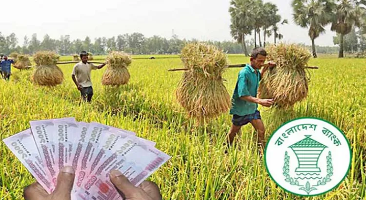 পাঁচ মাসে লক্ষ্যমাত্রার ৪৩ শতাংশ কৃষি ঋণ বিতরণ