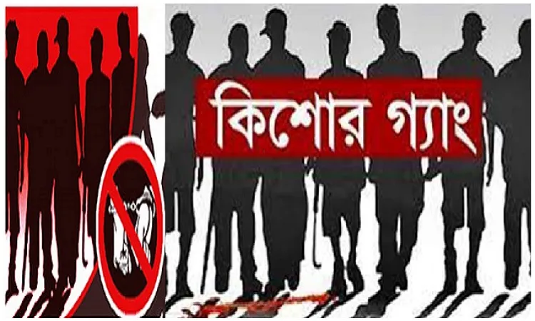 কিশোর গ্যাং : অনিরাপদ সমাজ ও জাতি