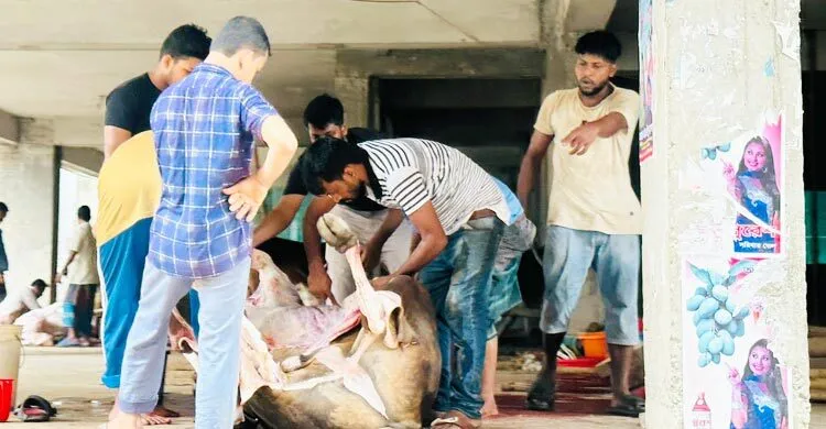 ঈদের দ্বিতীয় দিনেও চলছে পশু কোরবানি