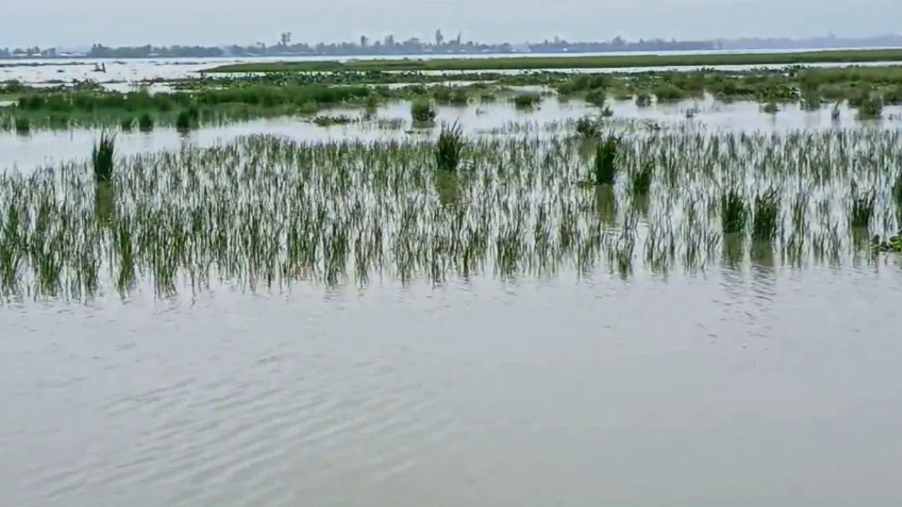 কু‌ড়িগ্রা‌মে বেড়েছে নদ-নদীর পা‌নি, নিম্নাঞ্চল প্লা‌বিত