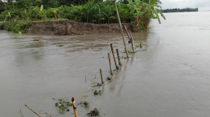 kurigram-6aff9f4437e34396ed7a8abd1141454f