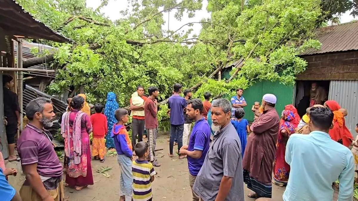 কালবৈশাখীর তাণ্ডবে লণ্ডভণ্ড ঠাকুরগাঁও, বিধ্বস্ত ঘরবাড়ি