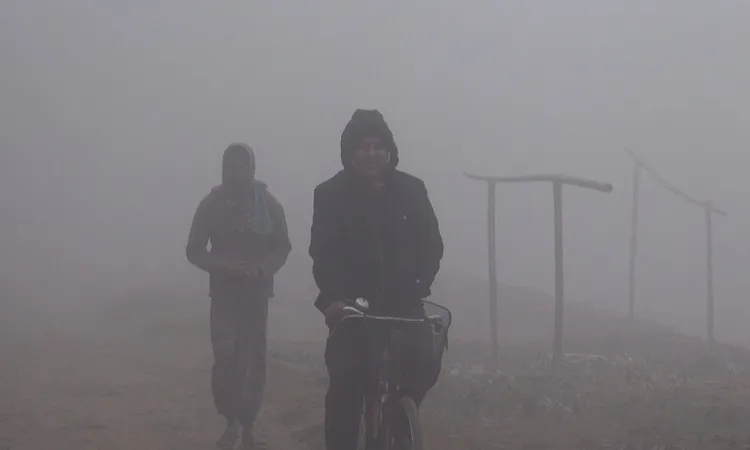 Mild cold wave sweeps over 5 district