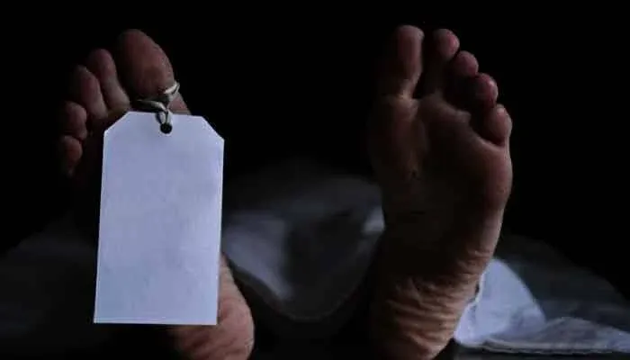 বগুড়ায় ট্রাকচাপায় আইনজীবী নিহত