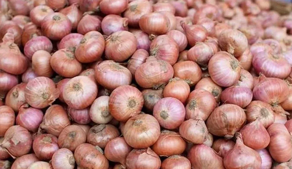 ৫০ হাজার টন পেঁয়াজ আসছে ভারত থেকে