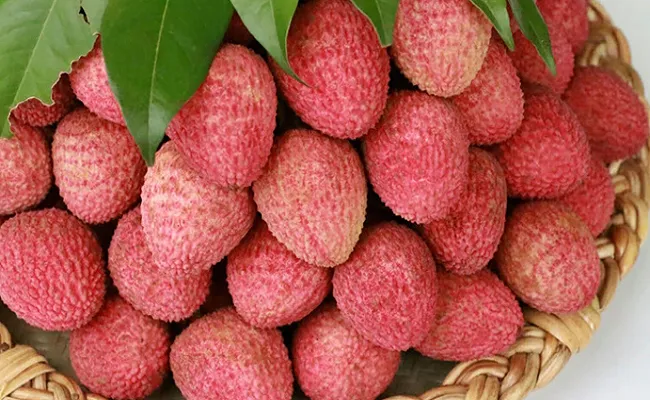 লিচু খাওয়ার উপকারিতা