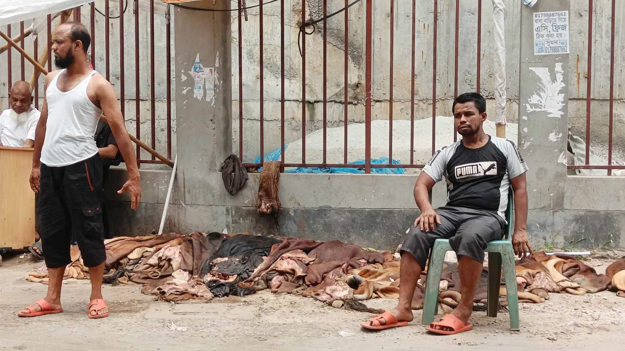 দেড় লাখ টাকার গরুর চামড়ার দাম ৫৫০ টাকা