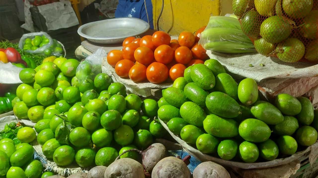 lemon-bg-20250227130342
