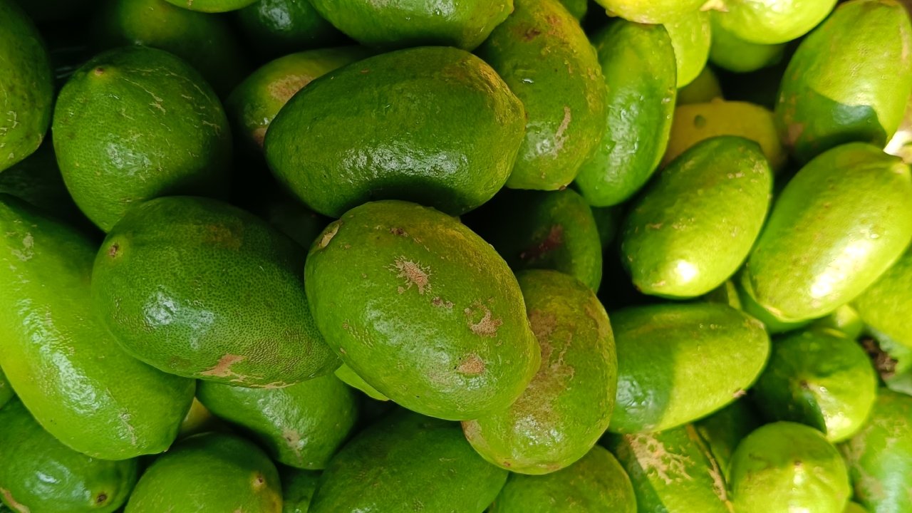 lemon-price-20250221175624