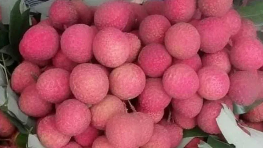 বিভিন্ন রোগ থেকে মুক্তিসহ নানান পুষ্টিগুণ মিলবে লিচুতে
