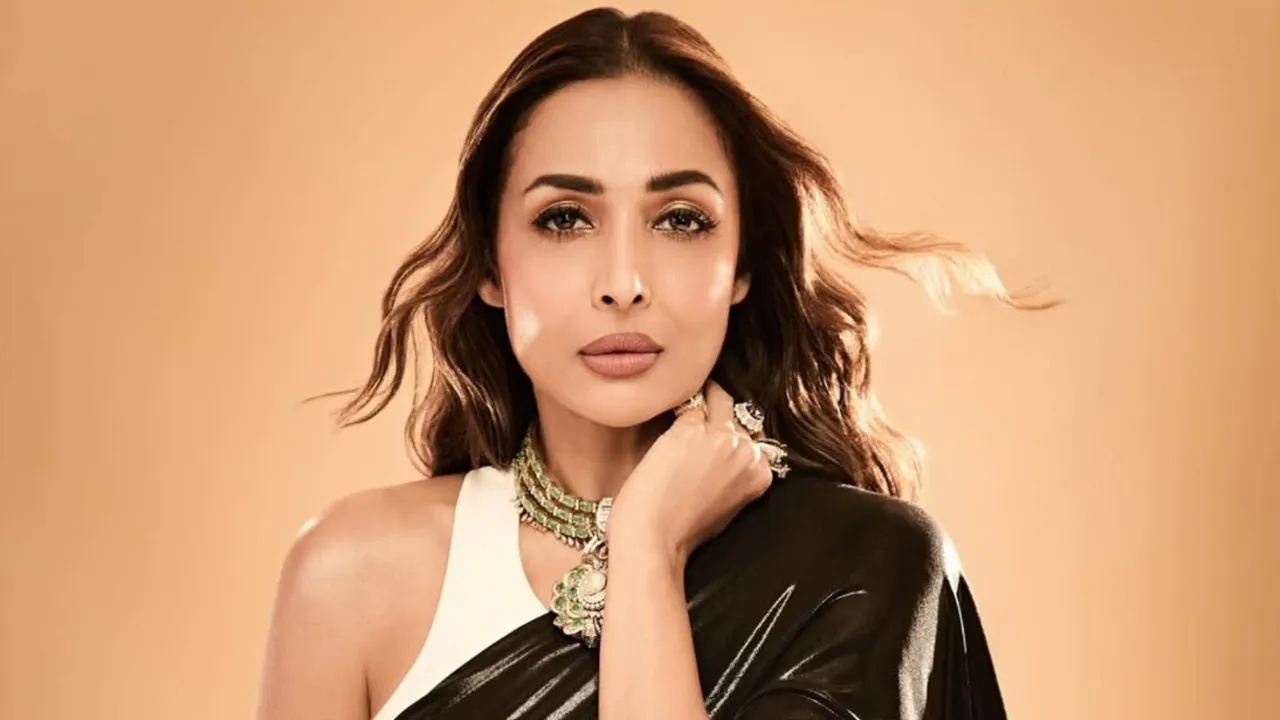 ক্রিকেটারের প্রেমে মজলেন মালাইকা অরোরা