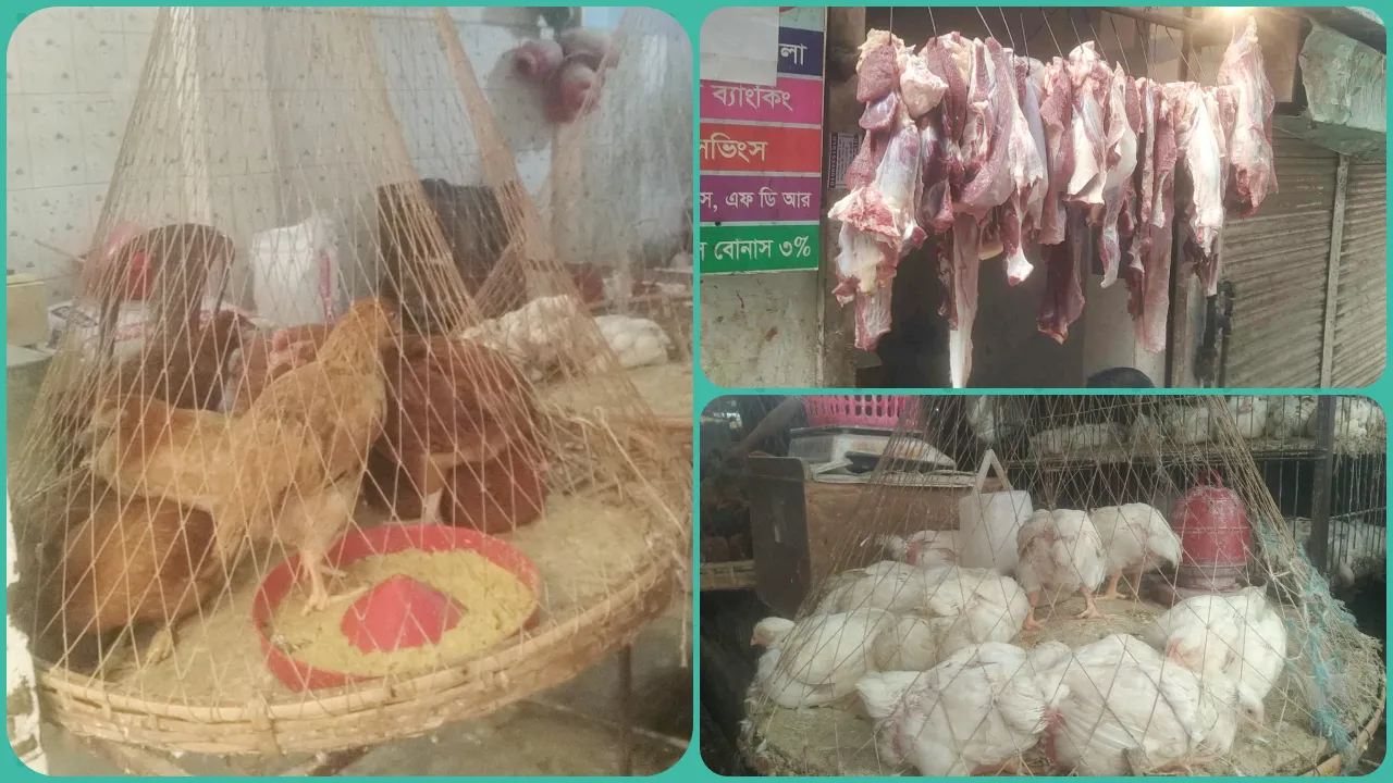 সব ধরনের মাংসের দাম বাড়ছেই