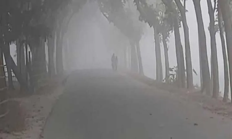 আজ মাঘের বিদায়, তবে থাকছে শীত