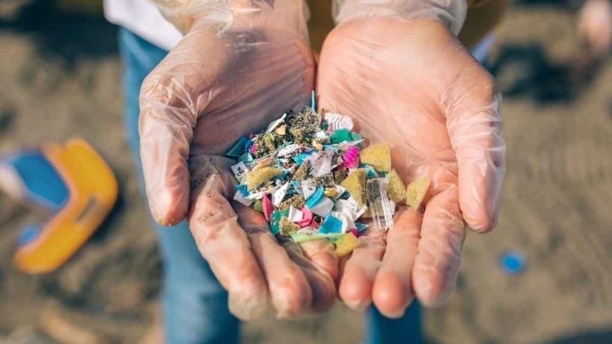 microplastic_20260727_120109883