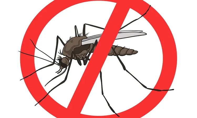 HC summons DNCC: Mosquito menace at Dhaka airport