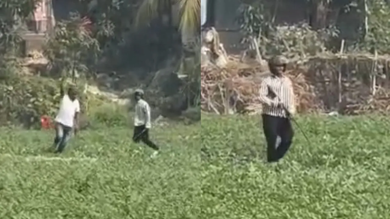 অস্ত্র-ককটেল নিয়ে স্বতন্ত্র প্রার্থীর প্রচারণায় বাঁধা, আহত ৬