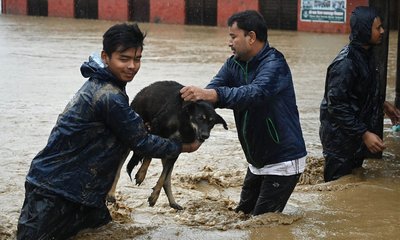 nepal-2-20240930083557