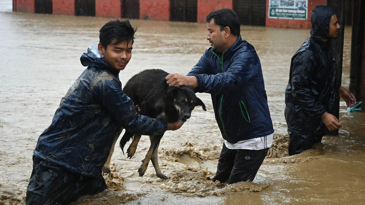 nepal-2-20240930083557