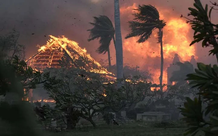 যুক্তরাষ্ট্রে মাউই দাবানলে নিহত বেড়ে ১০১