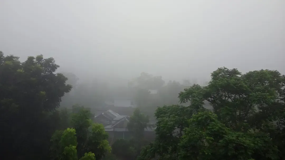 হঠাৎ ঘন কুয়াশায় ঢাকা পড়ল নীলফামারী