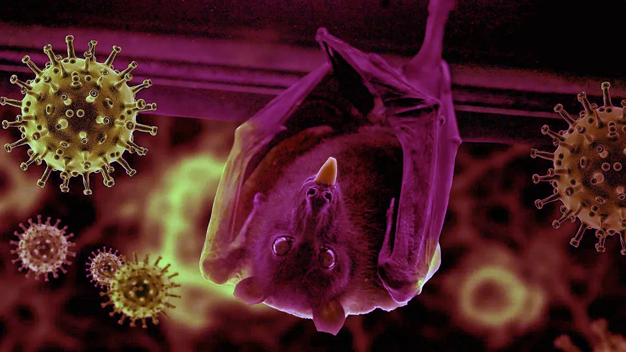 নওগাঁয় নিপাহ ভাইরাসে নারীর মৃত্যু