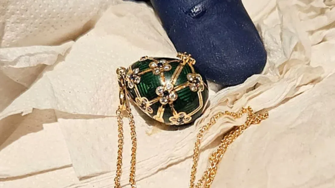 নিউজিল্যান্ডে ২৪ লাখ টাকার ‘ডিম’ গিলে যুবক কারাগারে