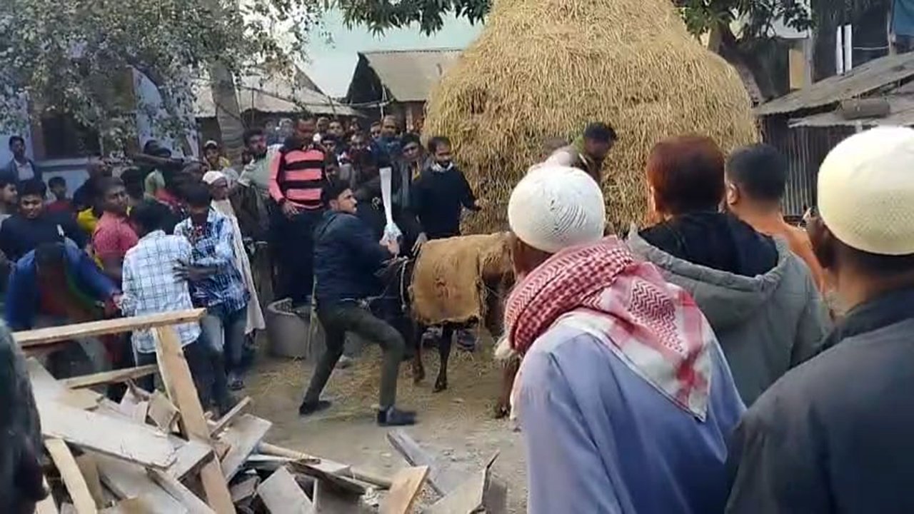 nowgaon-20260203210309