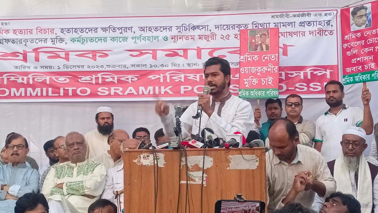 জোর-জবরদস্তি করে মানুষকে নৌকায় ওঠানো হচ্ছে : নুর