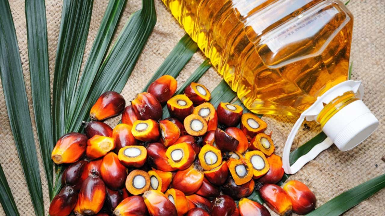 oil-20250812125736