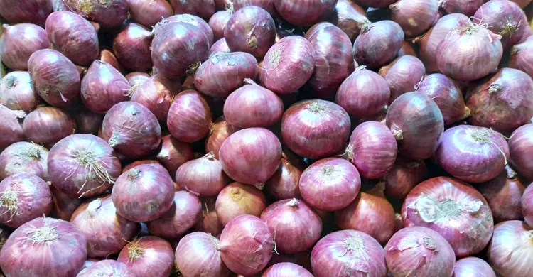 পেঁয়াজের দাম আরও বেড়েছে