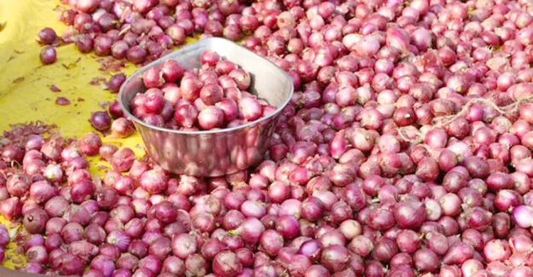 India imposes 40% duty on onion exports
