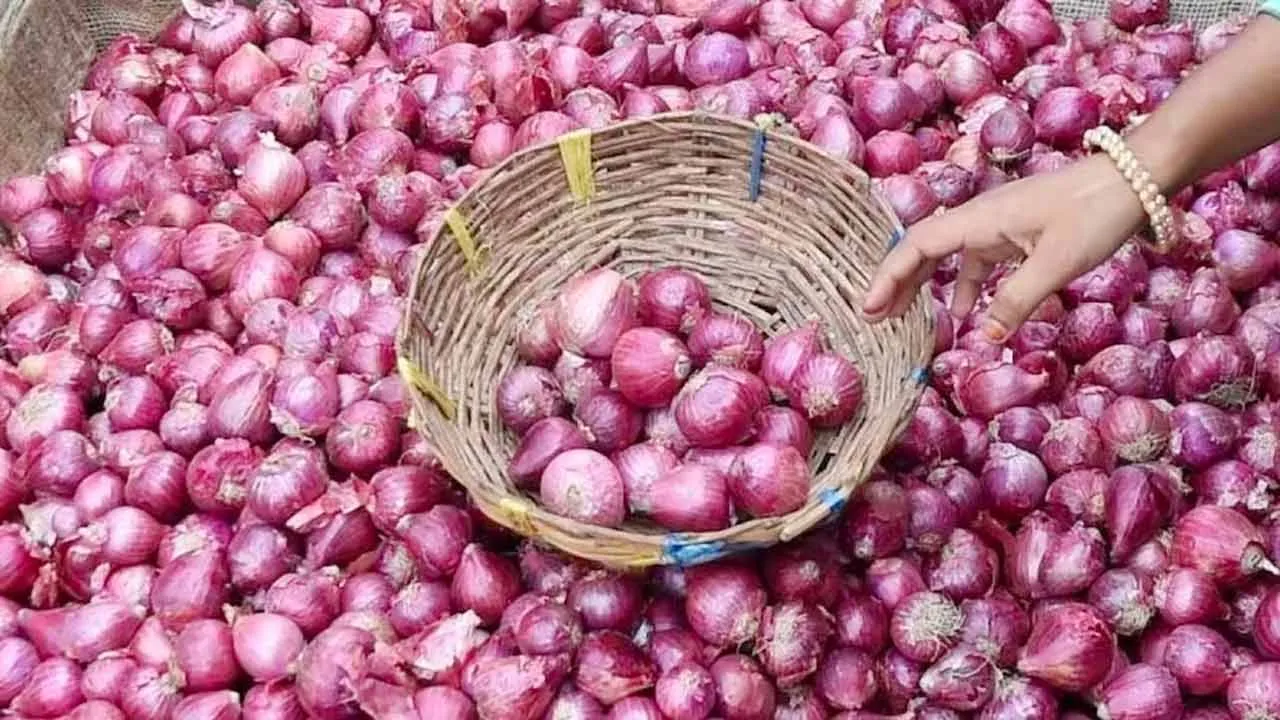 বাংলাদেশের জন্য ১৬৫০ টন পেঁয়াজ কিনছে ভারত
