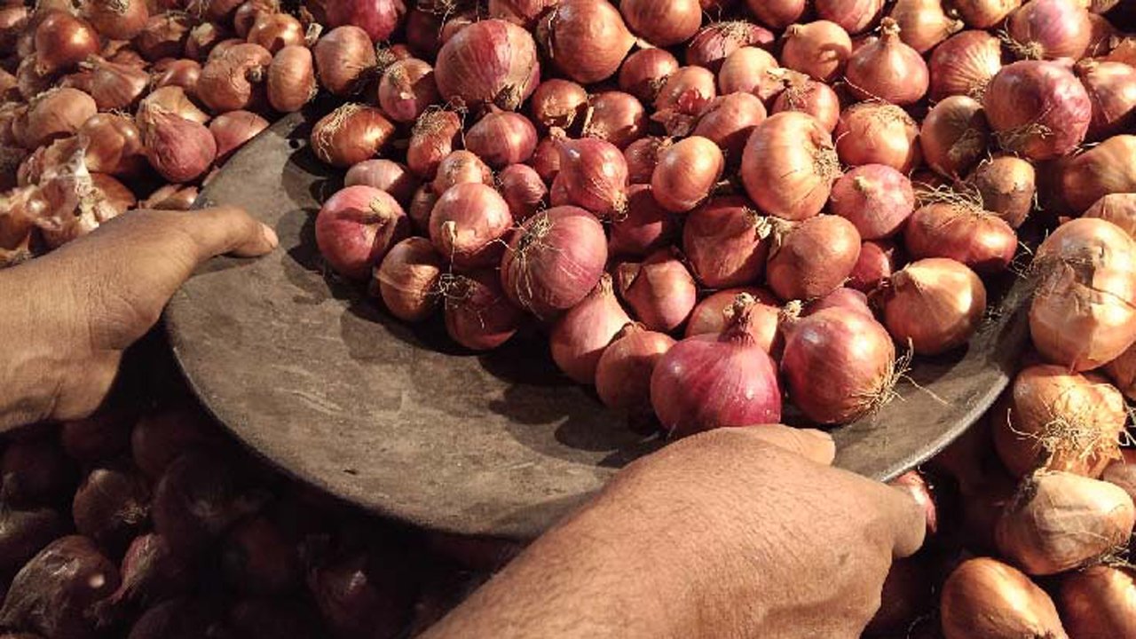 onion-20251215112604