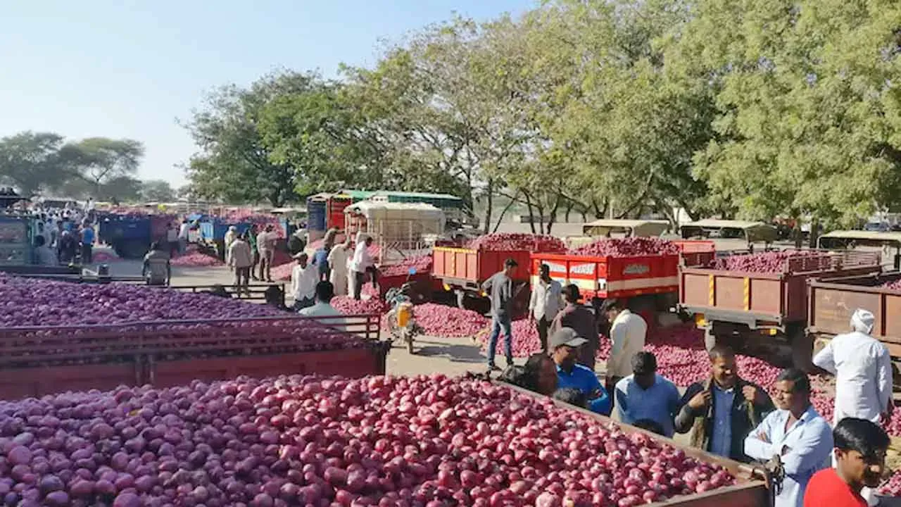 বর্জন আর নতুন পেঁয়াজে ‘কোণঠাসা’ মজুতকারীরা