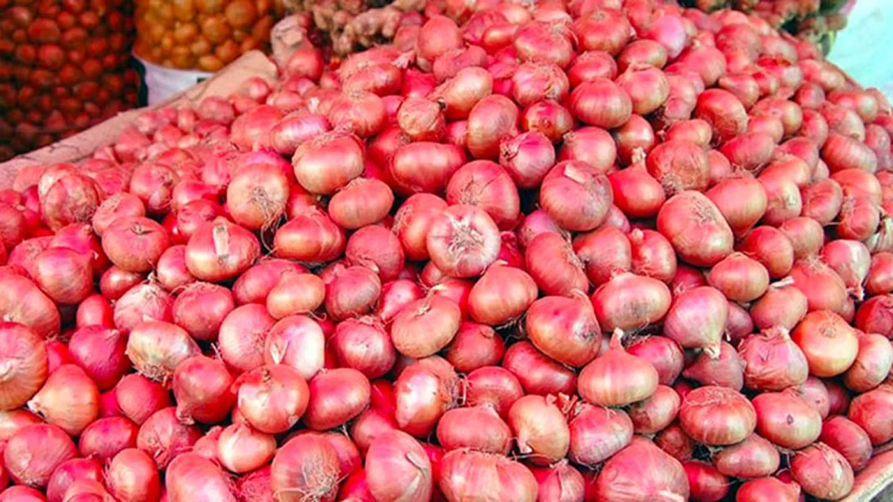 1,171 tons of onion imported from India in a day