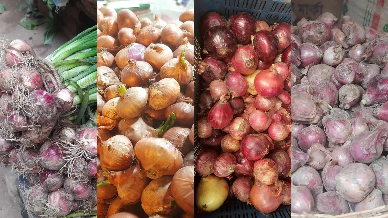 বাজারে বিভিন্ন ধরনের পেঁয়াজ, দাম ৮০-২০০ টাকা
