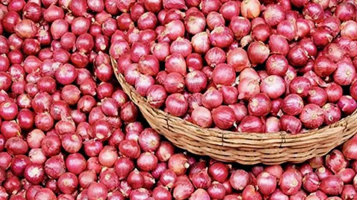 পেঁয়াজে আগুন—মজুতে কৃষক-ব্যবসায়ীর খেলা!