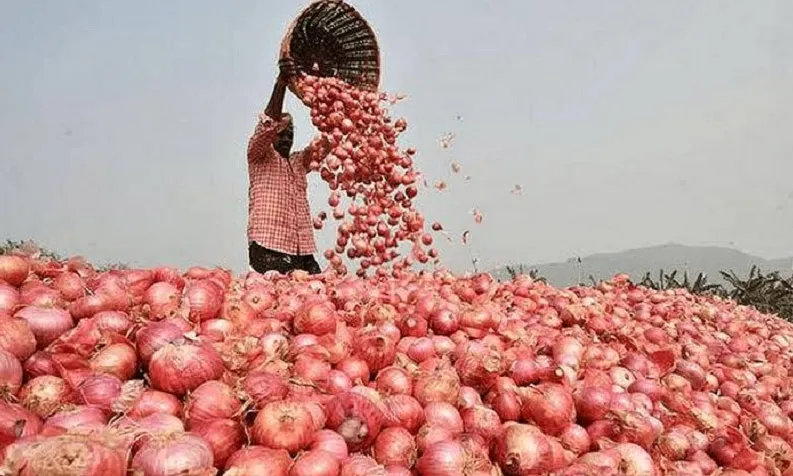 Imports ease onion prices as consignments begin arriving from India