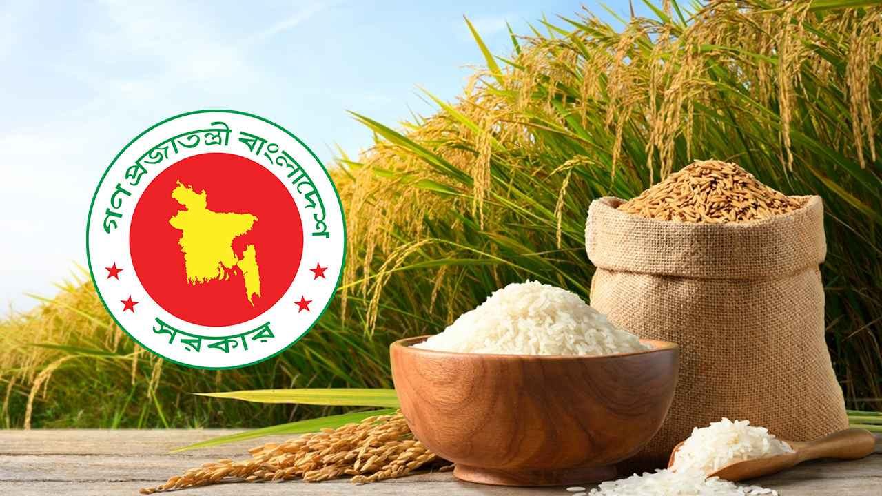 paddy-rice-collect