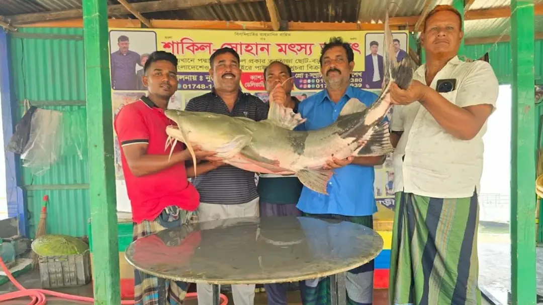 গোয়ালন্দে ২৬ কেজির বাঘাড় বিক্রি হলো ৫৭ হাজার টাকায়