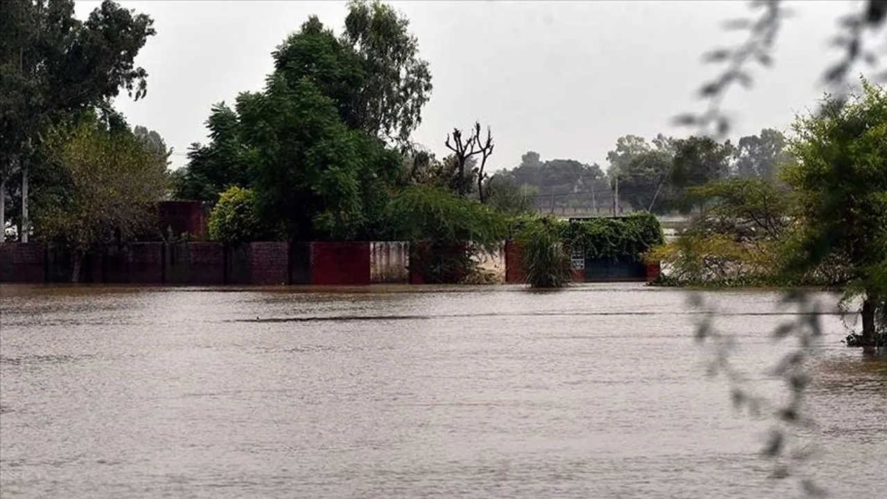 প্রবল বৃষ্টির জেরে পাকিস্তানে আকস্মিক বন্যা-ভূমিধস, নিহত ৩৫
