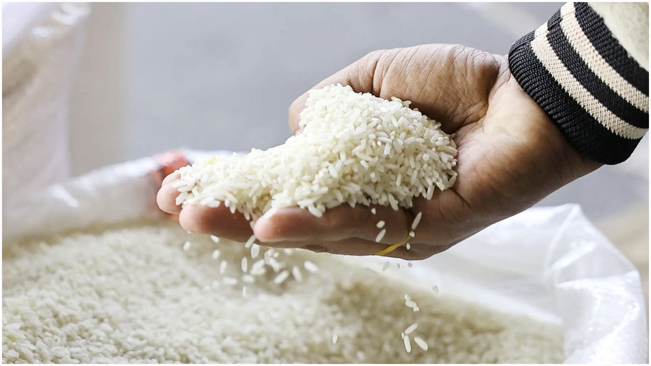 pakistan-rice