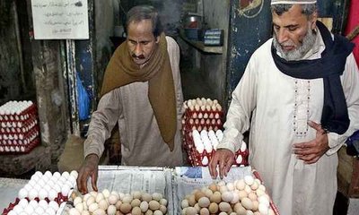 pakistan_eggs_20240115_122802208