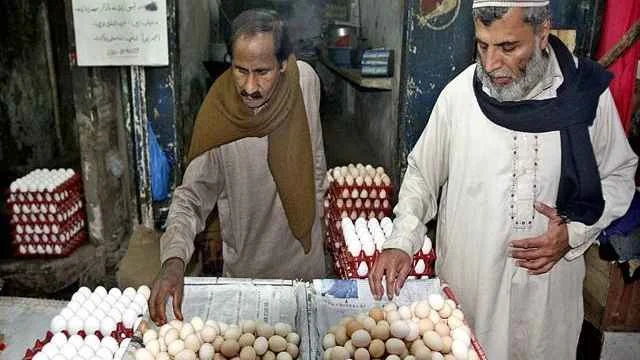 pakistan_eggs_20240115_122802208