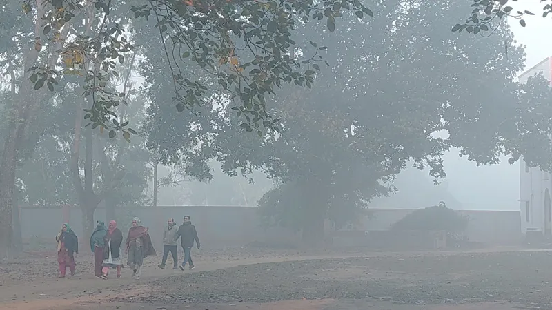 ৭ ডিগ্রিতে নামল পঞ্চগড়ের তাপমাত্রা