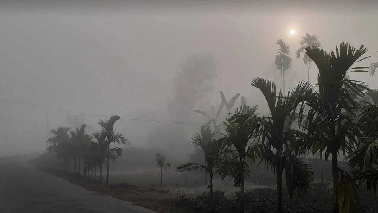 মাঝারি শৈত্যপ্রবাহে কাঁপছে তেঁতুলিয়া, হিম বাতাসে কাবু জনজীবন