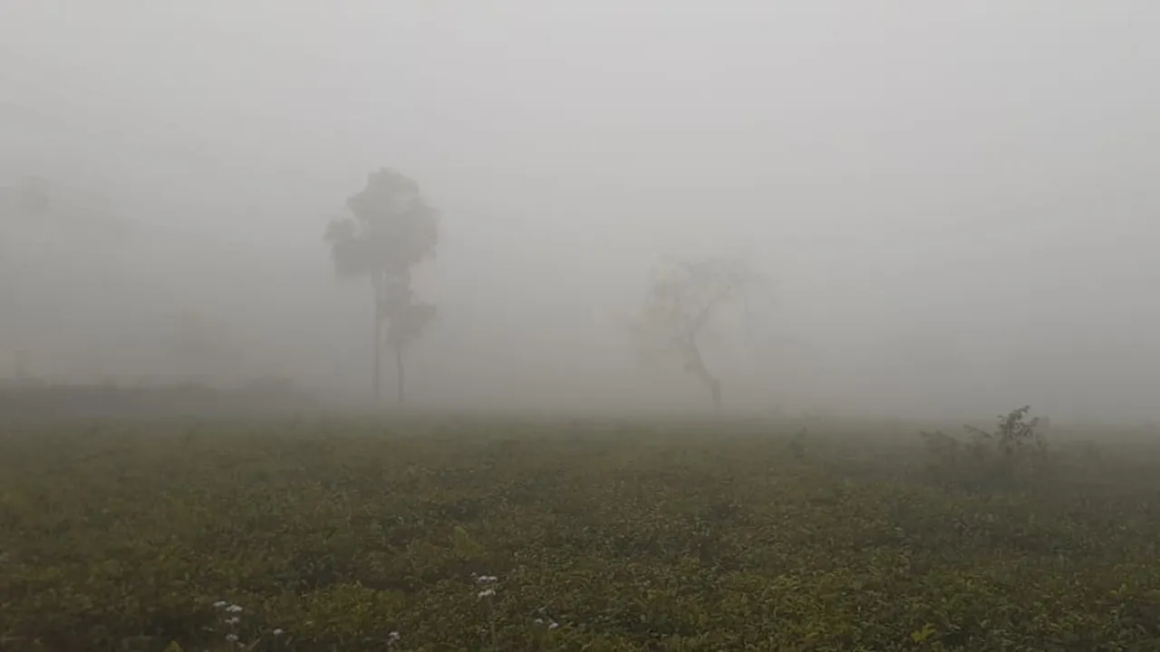 পঞ্চগড়ে শৈত্যপ্রবাহ কাটলেও কমছে না শীতের দাপট