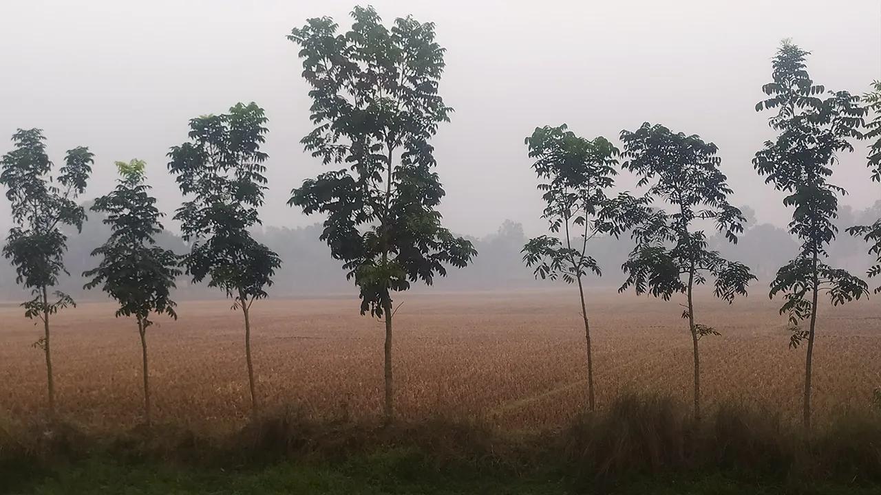 কনকনে শীতে কাঁপছে তেঁতুলিয়া