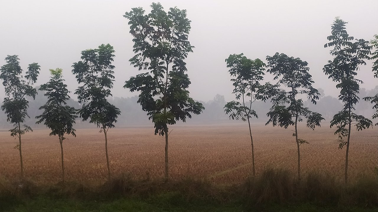 panchagrah